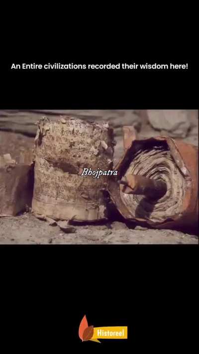 Bhūrjápatra, the Himalayan Birch bark once used as natural paper in Indian subcontinent to record sacred texts, medicinal knowledge, and historical information due to its natural resistance to decay.