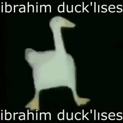 bu bir meme değil, komik ördek videosu.