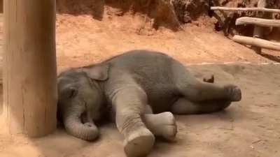 Sweet dreams!