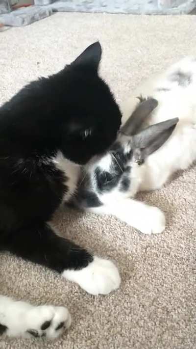 They love each other ♥️
