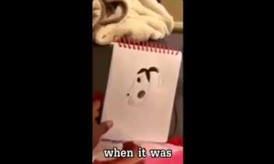 “Great drawing” in French.