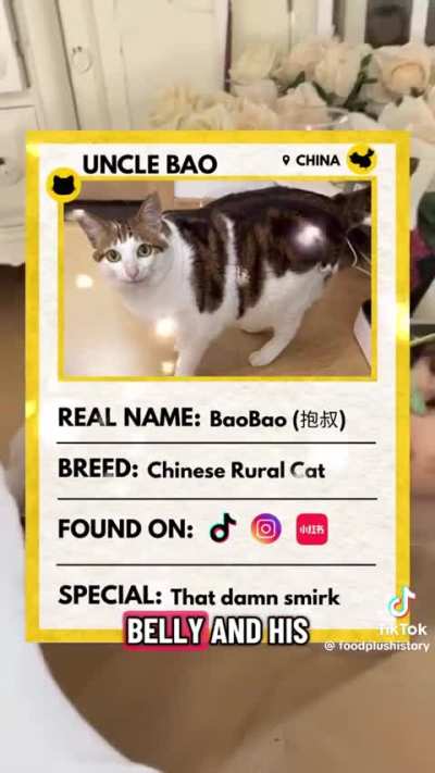 😺