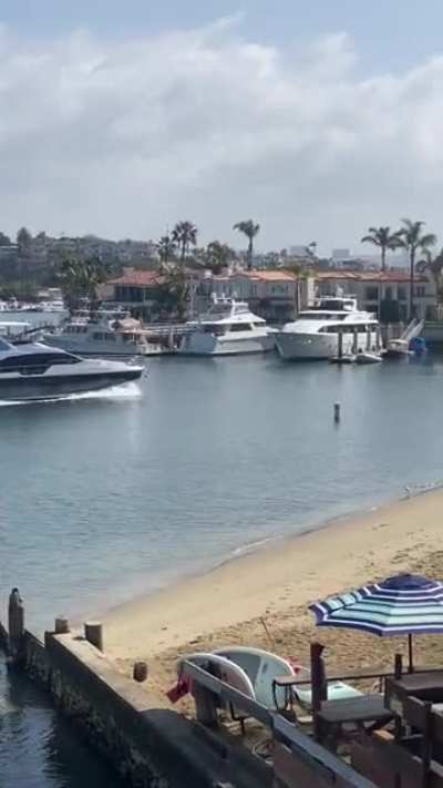 Trying to steal a boat