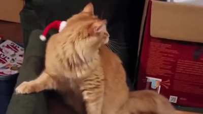 Everywhere, everywhere I tell you