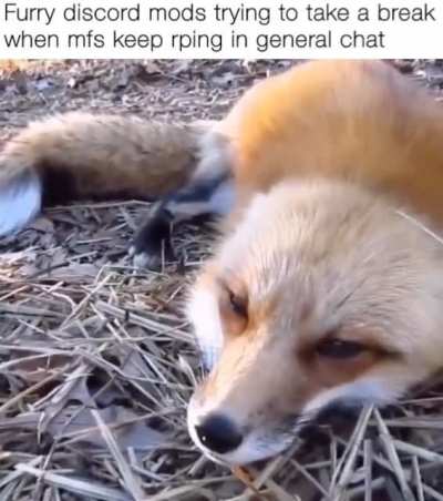 Moderator_irl