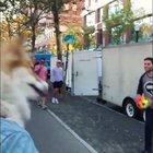 This will make you smile