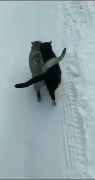 Best friends
