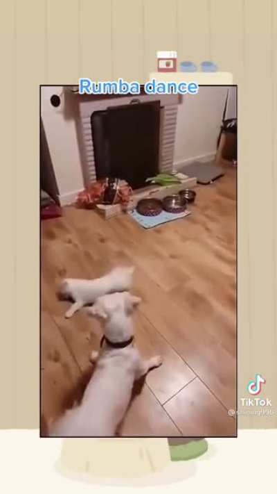Rumba dance