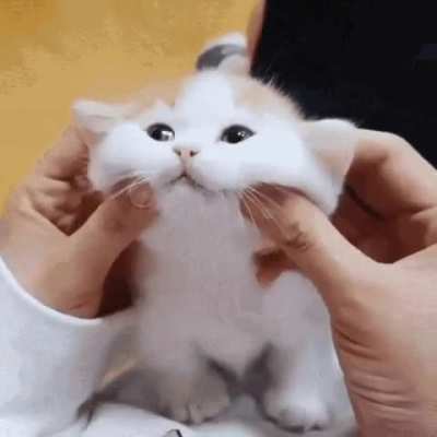 PLEASE DON'T STOP
