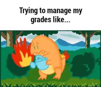 my general problem
