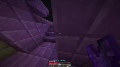 Finally got an Elytra