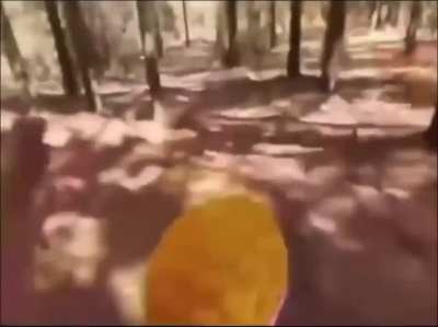 #whoremembers