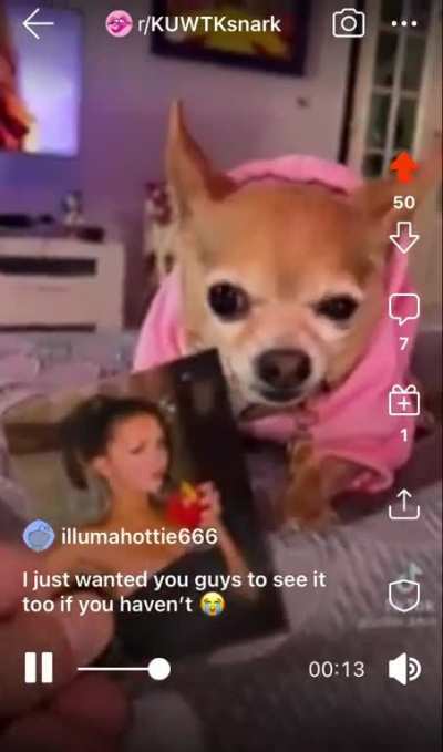 Dogs know best