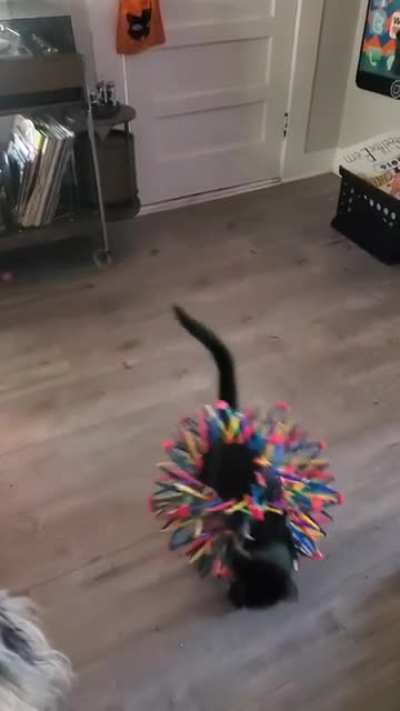Mistakes were made