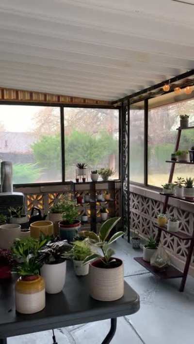 Getting to enjoy the sound of rain in my sunroom for the first time since moving! I love it.