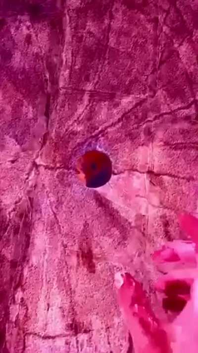 This video is why I have trust issues