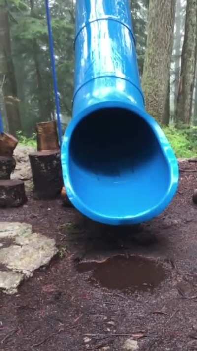 Good thing they've installed a rock as a stopper