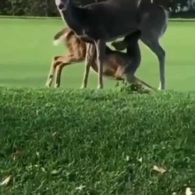 Nature is Beautiful