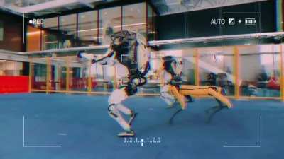 BostonDynamics
