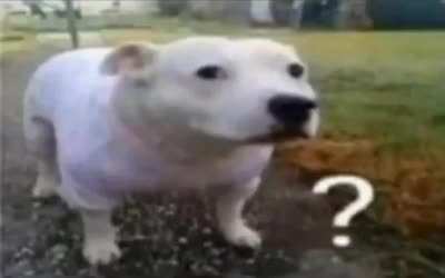 Confused rule