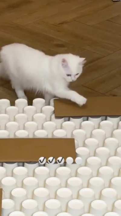 Puzzles Cats