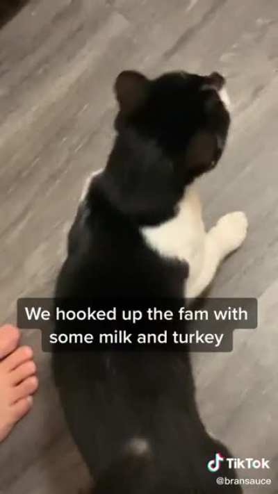 This is wholesome