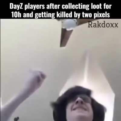 Hope this meme is fine, contains DayZ and other stuff survivors can relate to. OC
