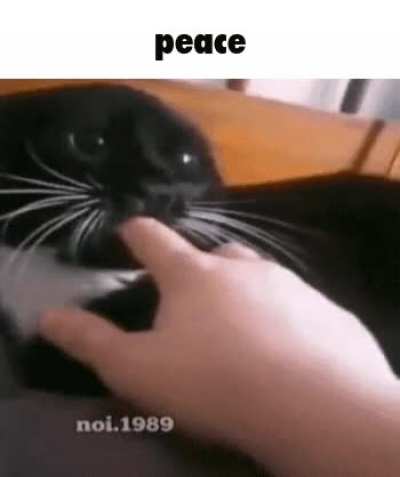 peace rule (pule)