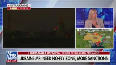 Ukrainian MP says on Fox News, ‘you care more about whether you pay extra 50 cents for your gas’ than ‘how many people die in Ukraine’
