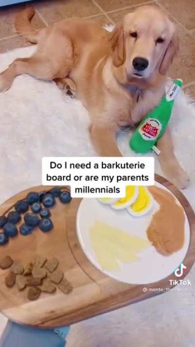 Being a Millenial Dog Parent