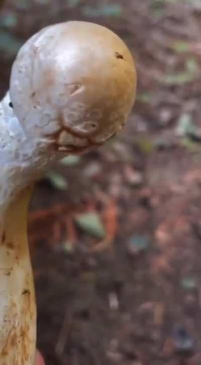 (。_。)