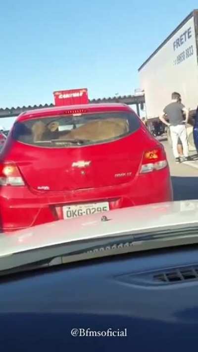 Just a car accident.