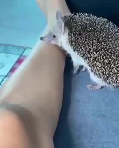Mmm...FUCK YOUUUUUU