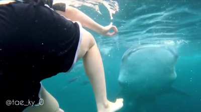 Imagine unable to swim, convinced by friends and tour guide to be brave for photos, unaware of the huge unknown creature looming behind: