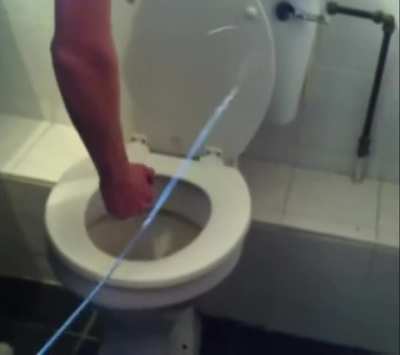 How to untoilet the toilet
