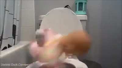 Alguém sabe onde compro um desses?