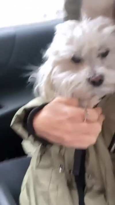All bundled up
