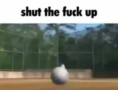 stfu