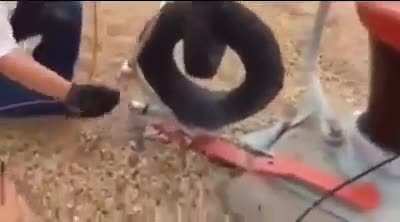 Touching a radio tower