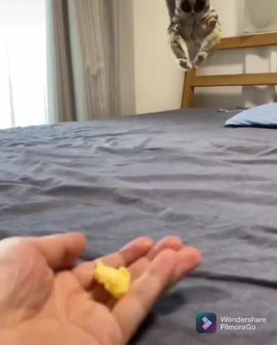 What you got there?