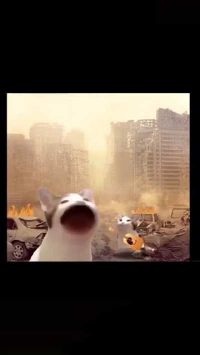 u_Cake_Pilot