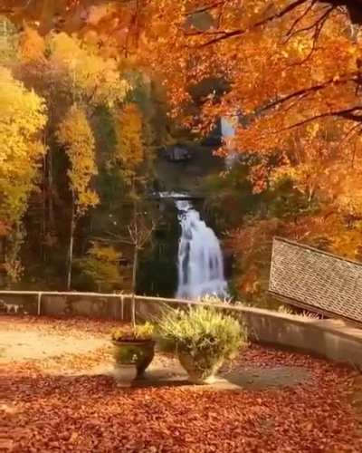 🔥 Giessbach Falls, Switzerland 🔥