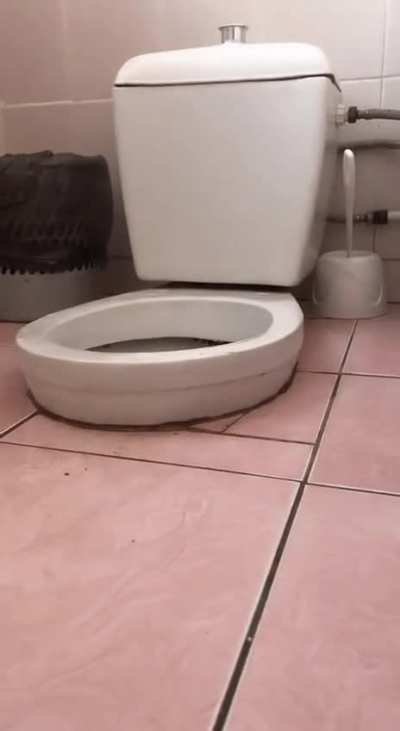 Чётко