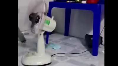 For sale electricfan. Issue: humahabol.(CTTO)