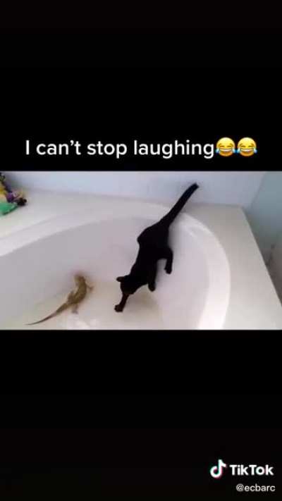 That's no toy!