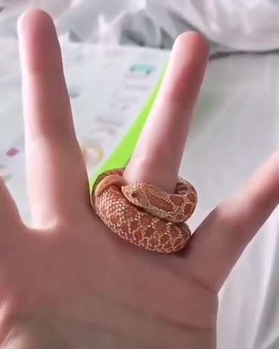 HelPlEsS MaN LoSeS finGeR aFteR VioLeNt stRanGuLation