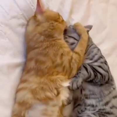 True love