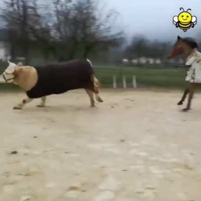 And easy jump!
