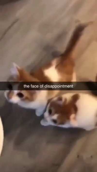 The face of disappointment