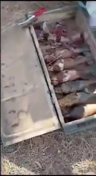 Why wash Potato when instead you can wash Rusty Mortar Shell instead -Some Russian commander